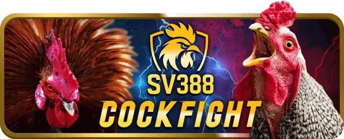 Điện thoại hiển thị màn hình đăng nhập ứng dụng NEW88BET